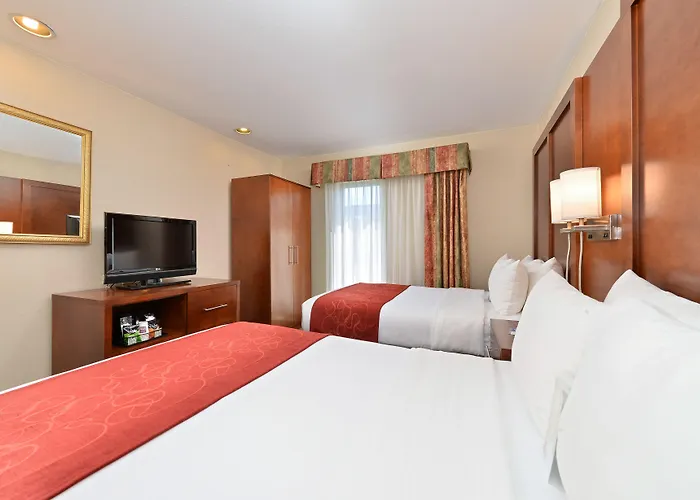 Hotel Comfort - Chicago West Oakbrook Terrace