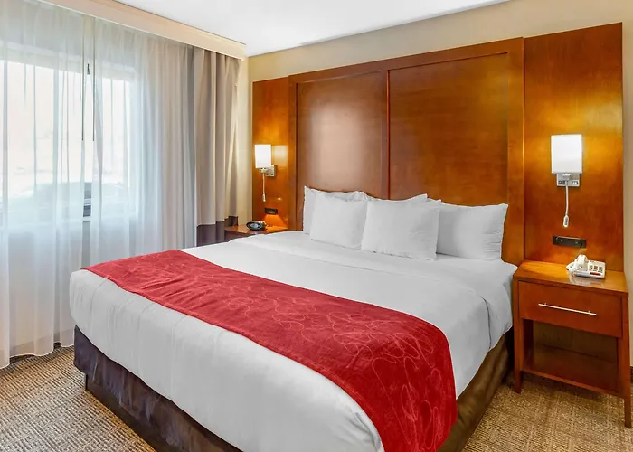 Comfort - Chicago West Oakbrook Terrace
