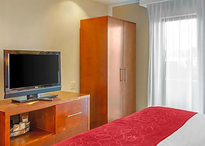 Comfort - Chicago West Hotel Oakbrook Terrace