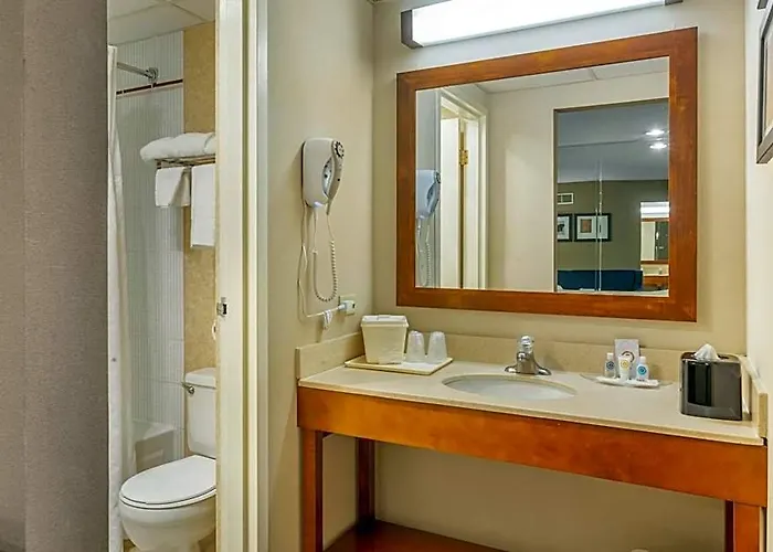 Hotel Comfort - Chicago West Oakbrook Terrace