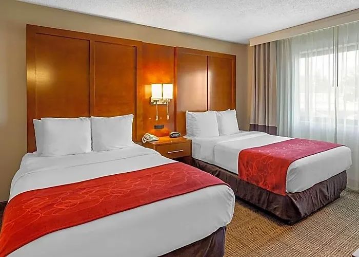 Comfort - Chicago West Hotel Oakbrook Terrace