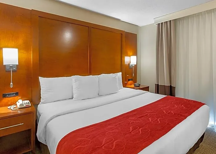 Comfort - Chicago West Hotel Oakbrook Terrace