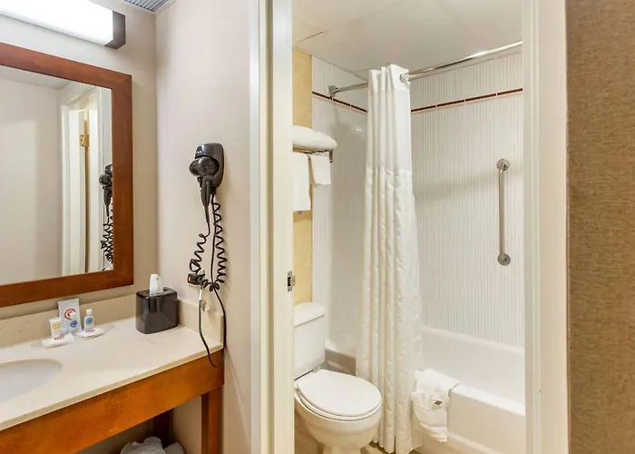 Comfort - Chicago West Oakbrook Terrace