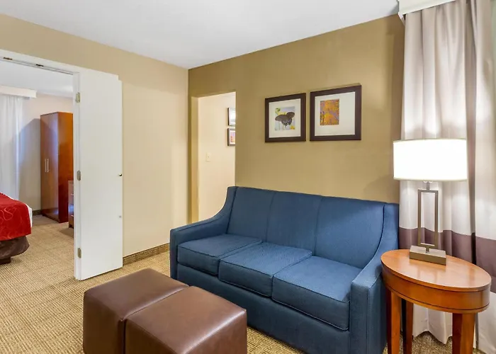 Hotel Comfort - Chicago West 4*