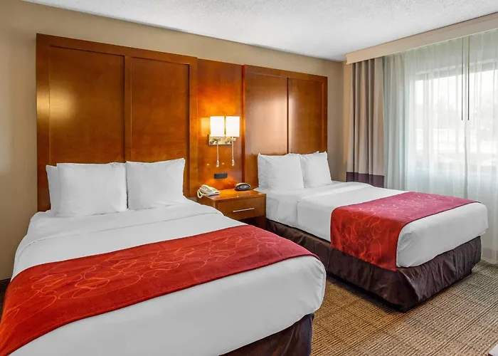 Hotel Comfort - Chicago West Oakbrook Terrace