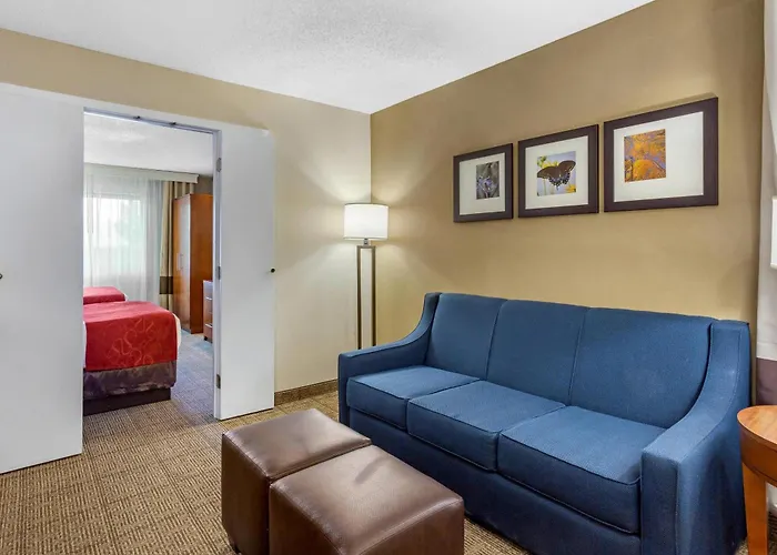 Hotel Comfort - Chicago West 4*