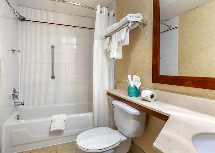 Comfort - Chicago West Hotel Oakbrook Terrace