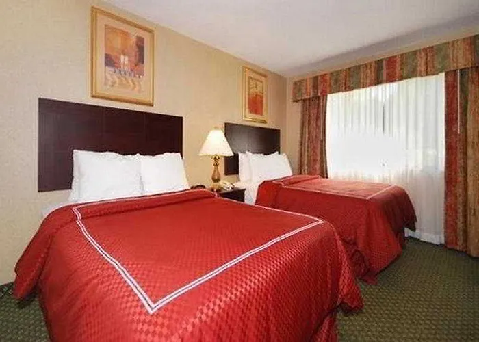Comfort - Chicago West Oakbrook Terrace